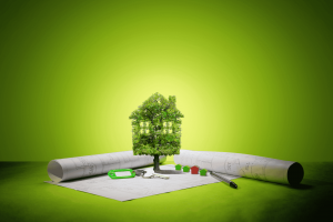 Lire la suite à propos de l’article Immobilier et Environnement en 2025 : Une Révolution Verte Déjà en Marche