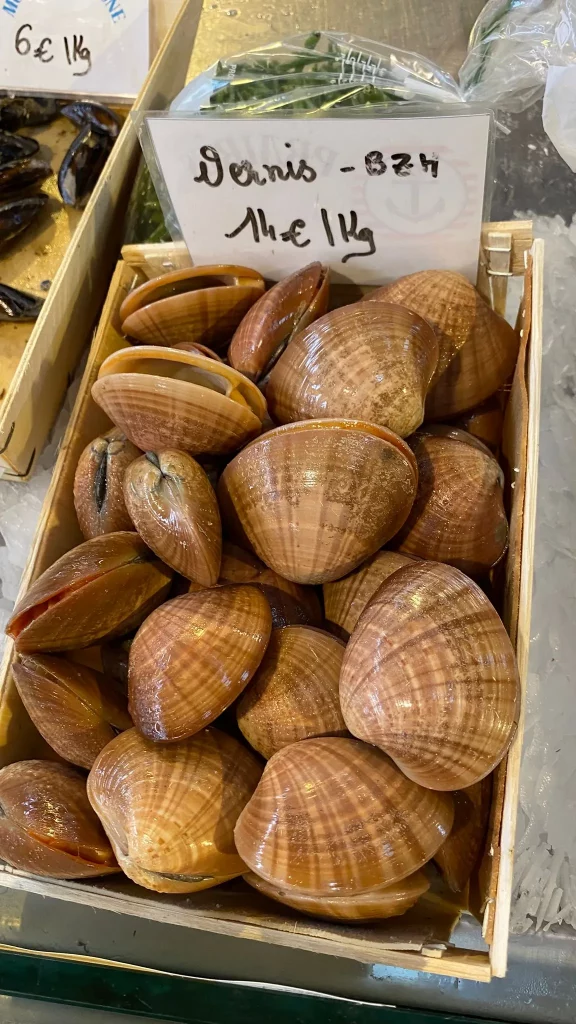 Marché de Rocabey Saint-Malo Jefferson DANIEL Immobilier
