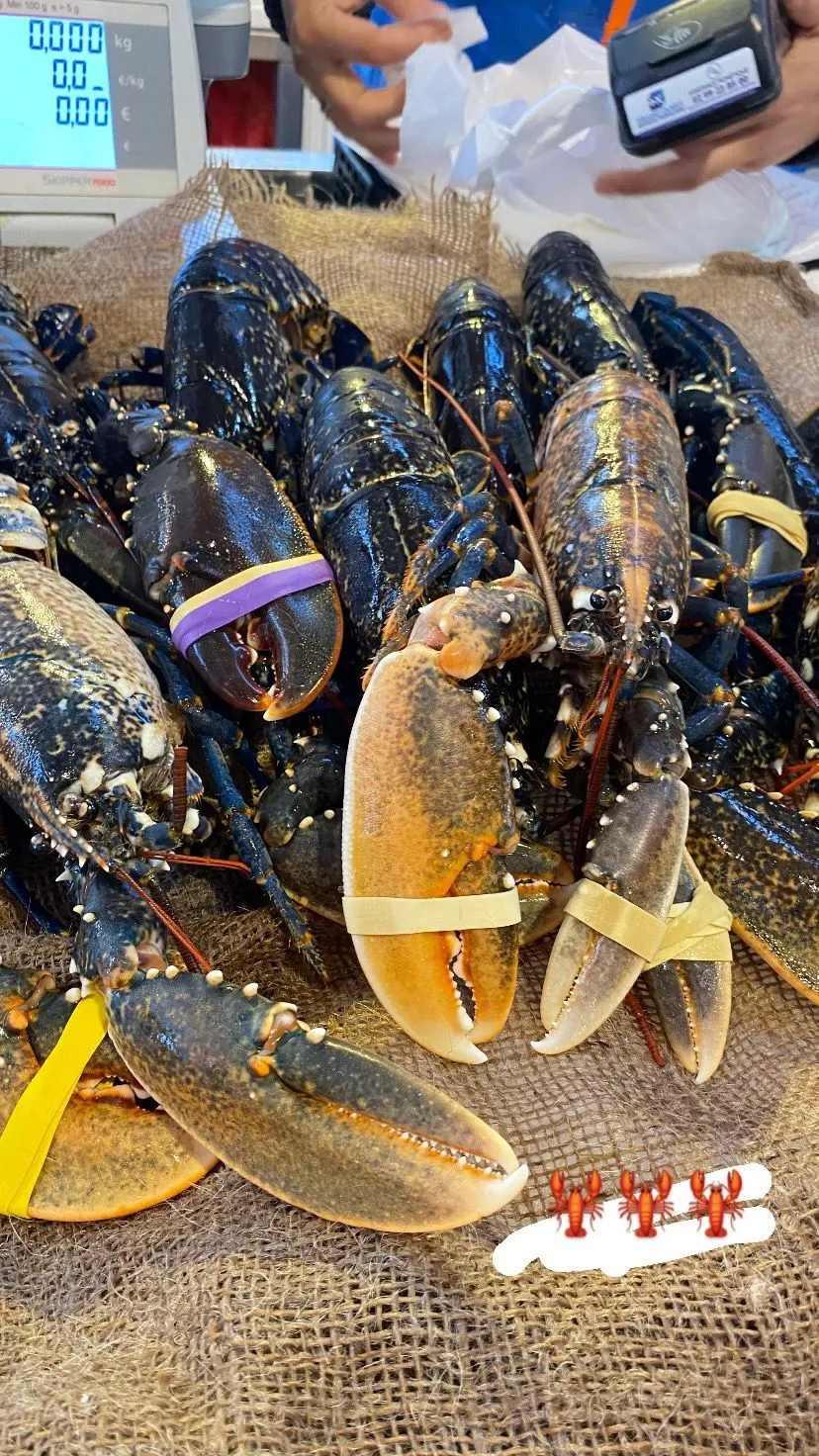 Fruits de mer et gastronomie bretonne à Saint-Malo