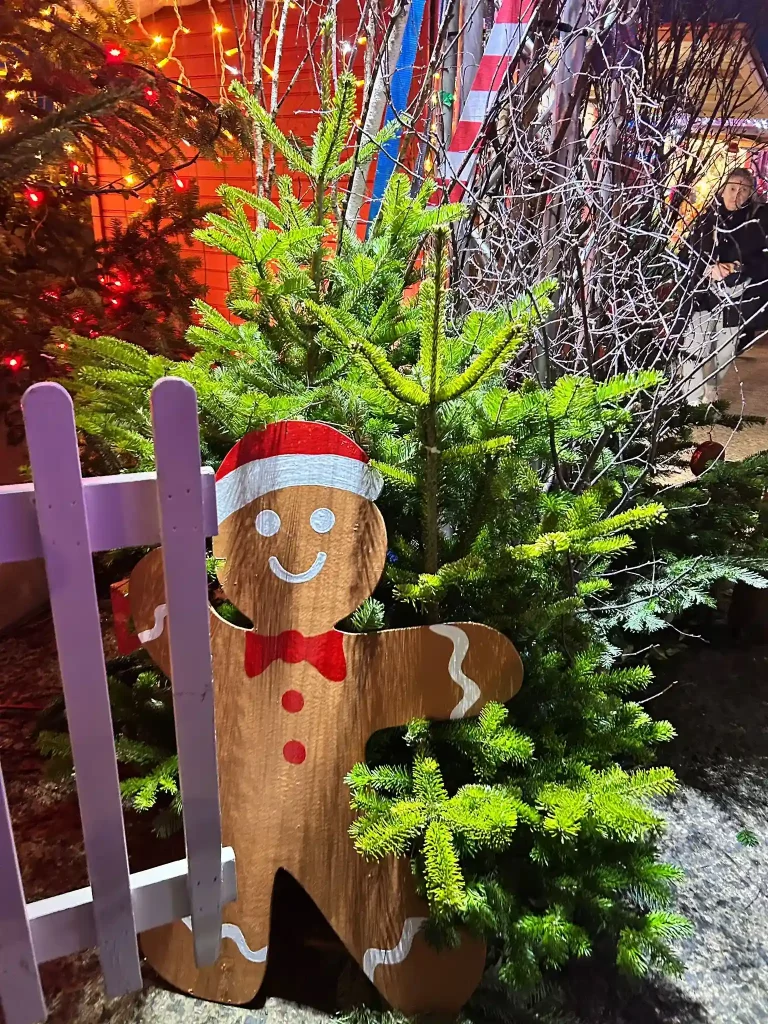 Marché de Noel 2025 Jefferson DANIEL Immobilier Saint-Malo