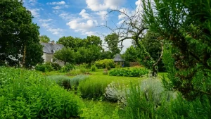 Potager manoir Saint-Malo
